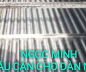 TẨY CÁU CẶN CHO DÀN NGƯNG TỤ
